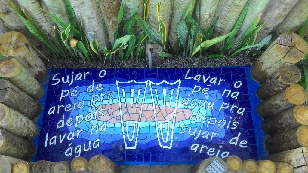 Estrela Do Mar